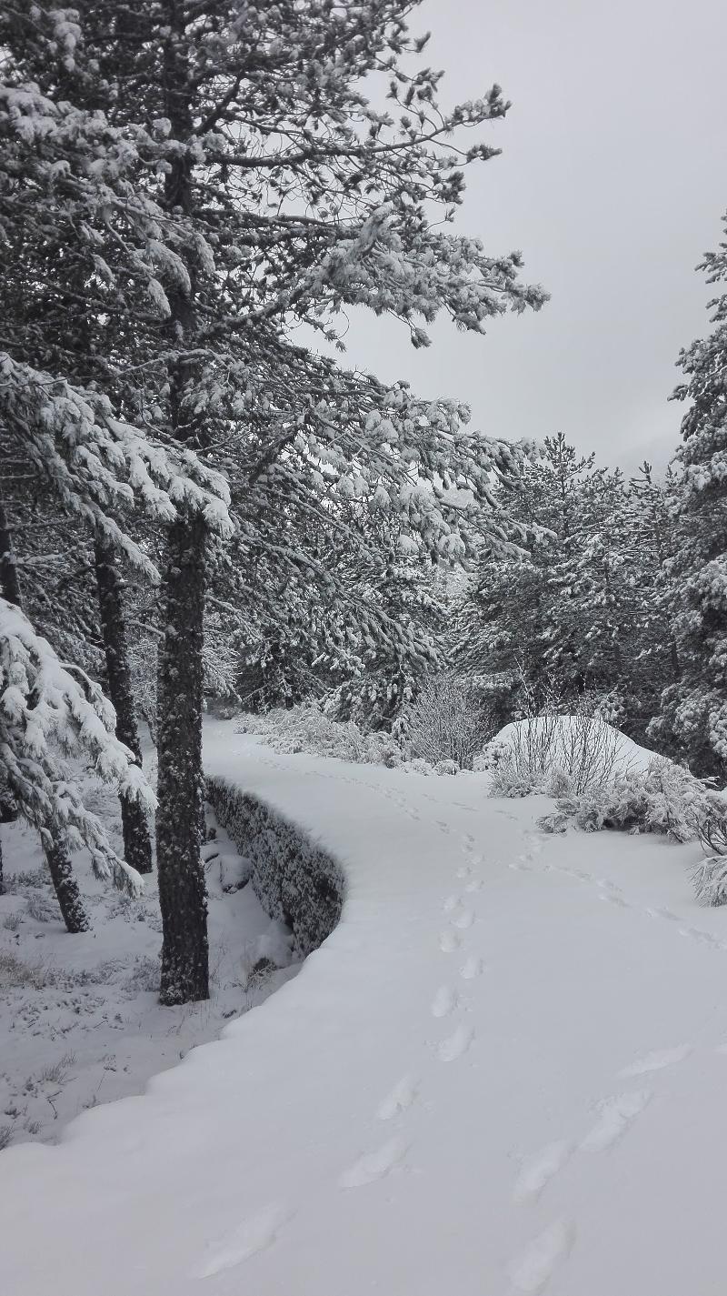 Pousada Da Serra Da Estrela Covilhã Dış mekan fotoğraf